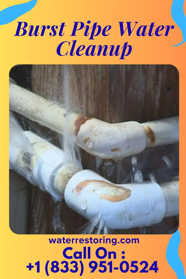 Burst Pipe Water Cleanup in Osaka, VA