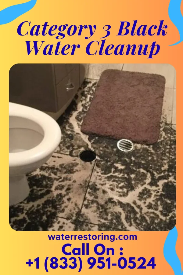 Category 3 Black Water Cleanup in Osaka, VA