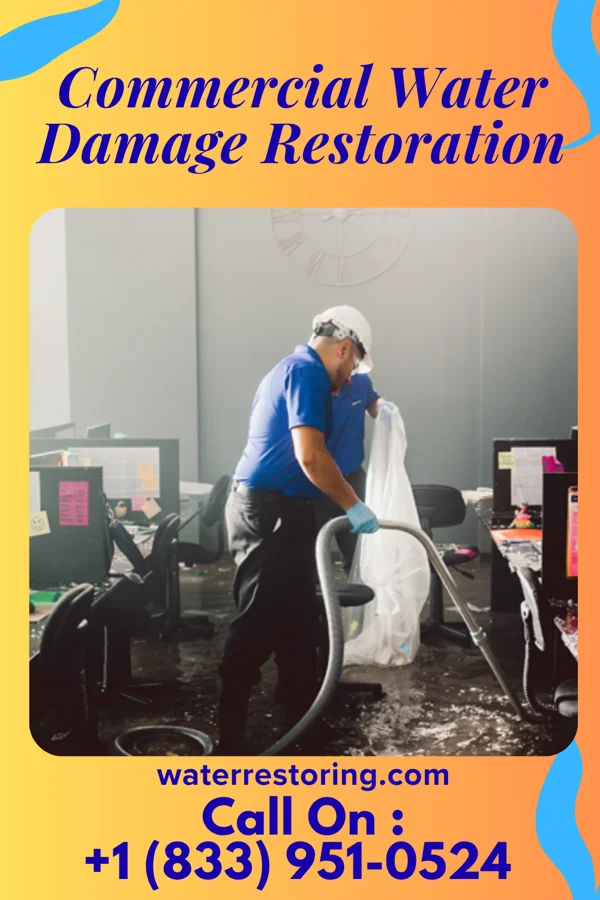 Commercial Water Damage Restoration in Osaka, VA