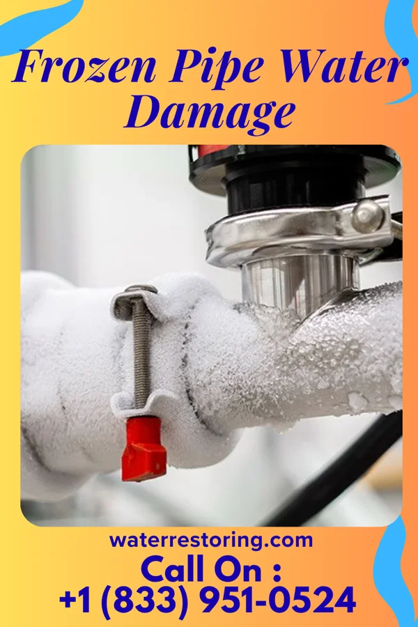 Frozen Pipe Water Damage in Osaka, VA