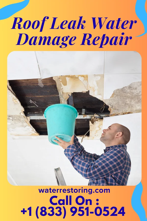 Roof Leak Water Damage Repair in Osaka, VA