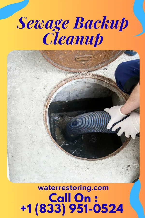 Sewage Backup Cleanup in Osaka, VA
