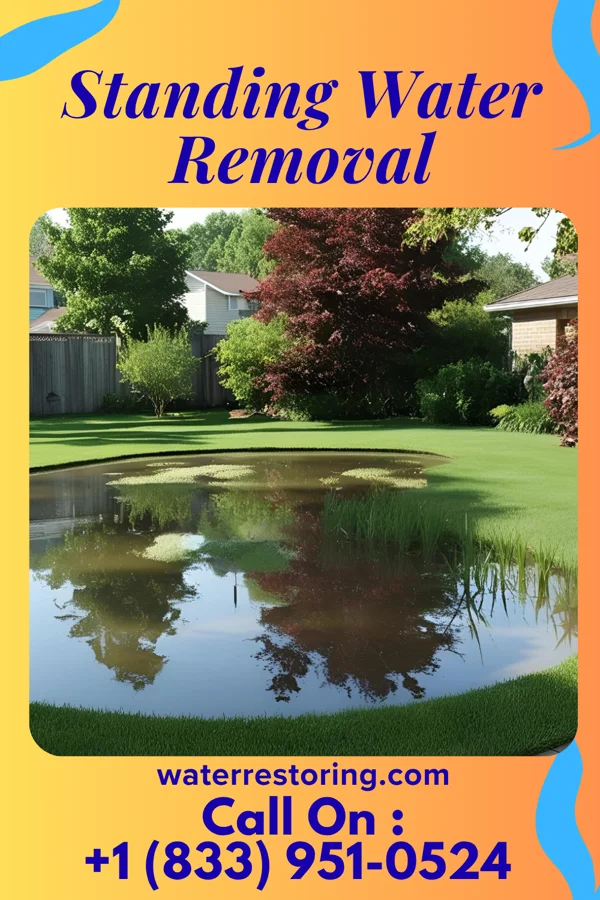 Standing Water Removal in Osaka, VA